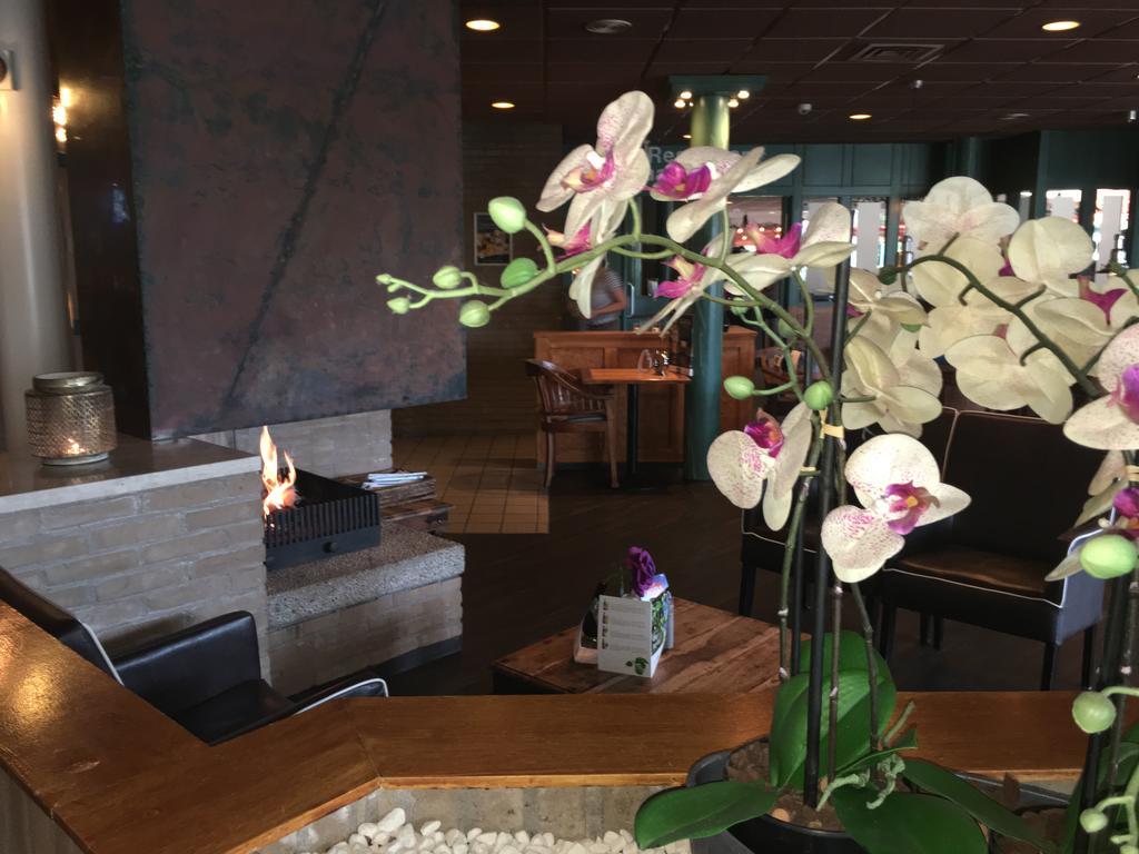 Appartement Ut & Thus, Resort Amelander Kaap Холум Екстериор снимка
